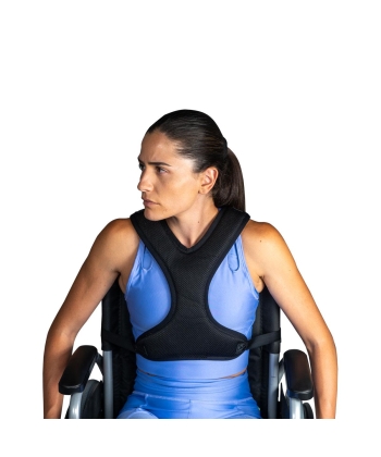 ΖΩΝΗ ΥΠΟΣΤΗΡΙΞΗΣ ΚΟΡΜΟΥ 0803651